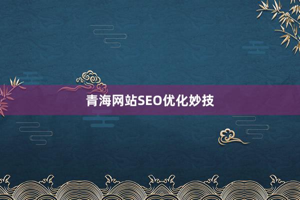 青海网站SEO优化妙技