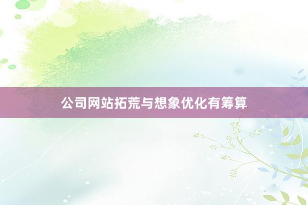 公司网站拓荒与想象优化有筹算