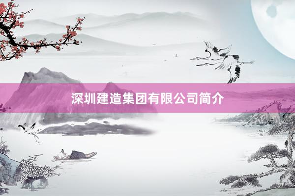 深圳建造集团有限公司简介