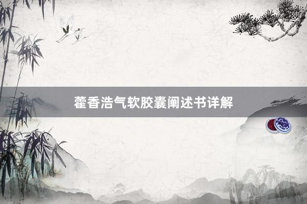 藿香浩气软胶囊阐述书详解