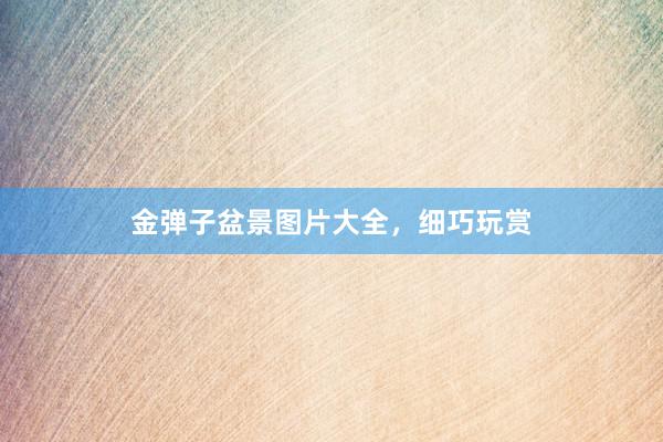 金弹子盆景图片大全，细巧玩赏